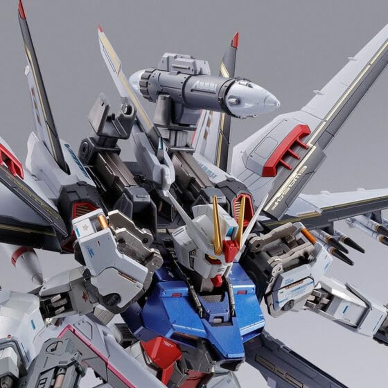 METAL BUILD Mobile Suit Gundam SEED Destiny Ootori (Tamashii Web Shoten Exclusive)