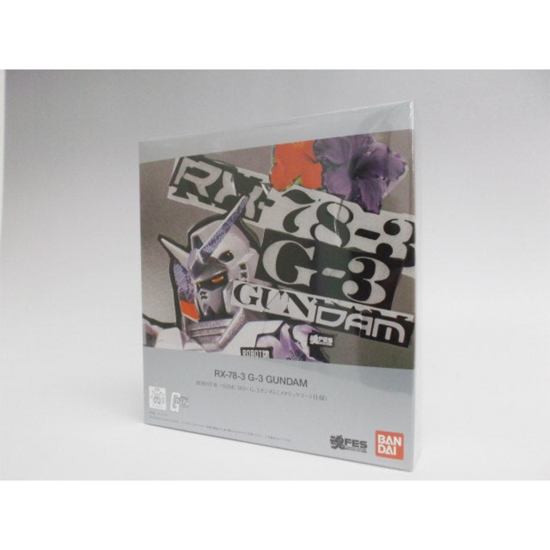 Soul Web Limited ROBOT Soul G-3 Gundam (Metallic Court specification)