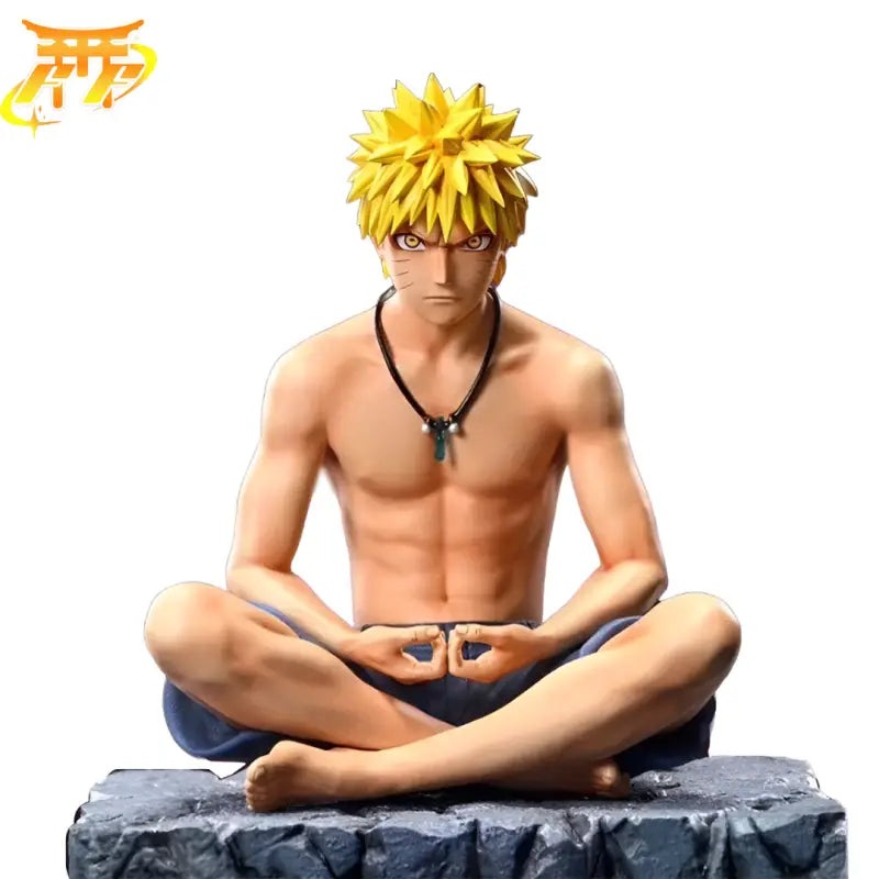 Naruto “Ermite” Figure – Naruto Shippuden