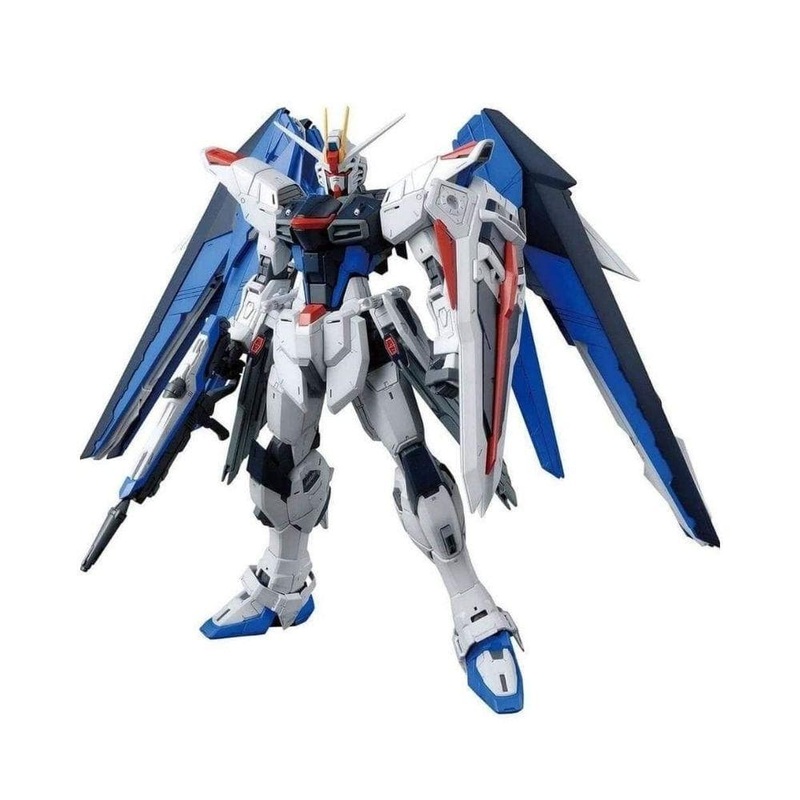 1/100 MG Freedom Gundam ver.2.0